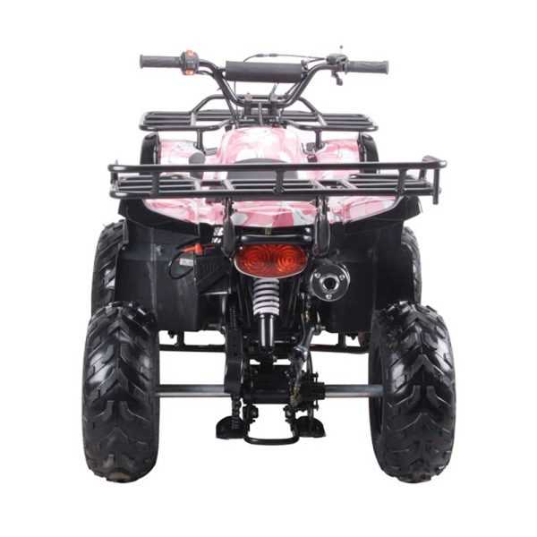 repair manual for 125cc coolster atv