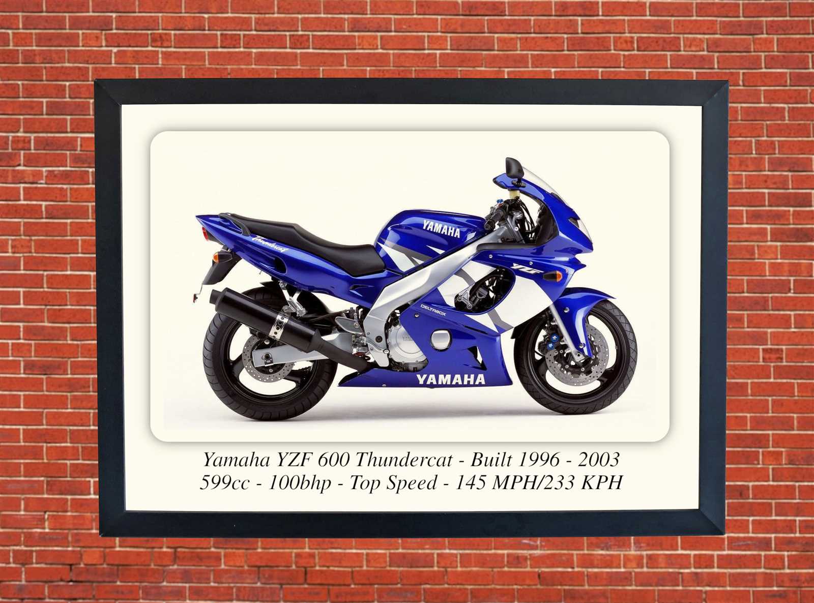 yamaha yzf600r thundercat repair manual