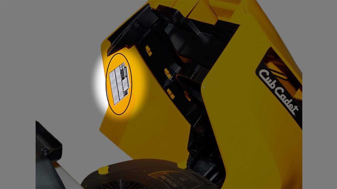 cub cadet snowblower repair manual